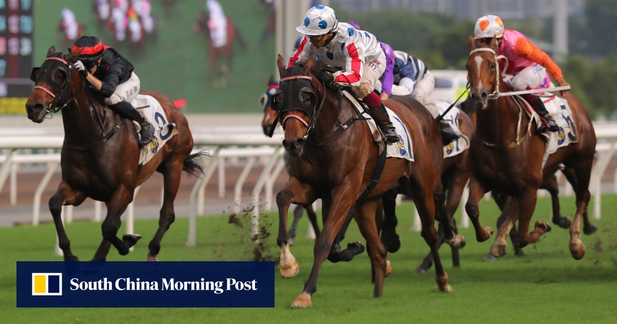 Galloper veteran CP Brave melanjutkan musim pelarian untuk Ricky Yiu dengan kemenangan Kelas Dua di Sha Tin | HK Balap